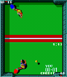Snapshot of Paddle Mania
